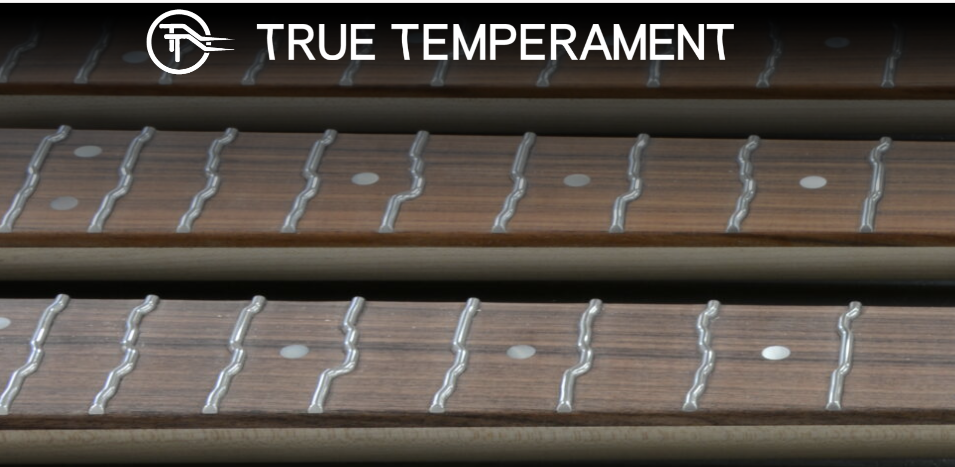 Frettes True Temperament : comment ça marche